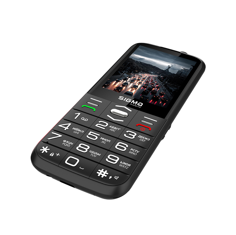 Sigma mobile Comfort 50 GRACE Black — органайзер и функции